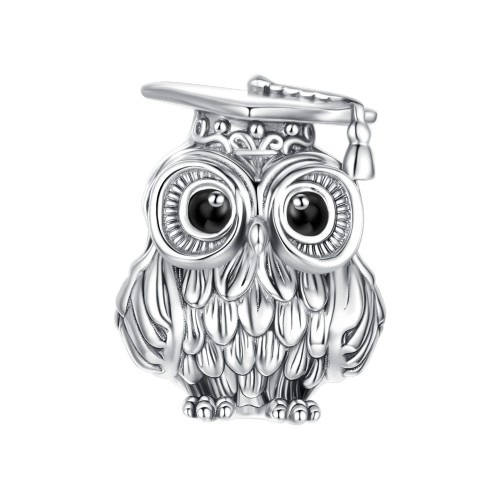 Przejdź do produktu Charms do Bransoletki Modułowej Sowa