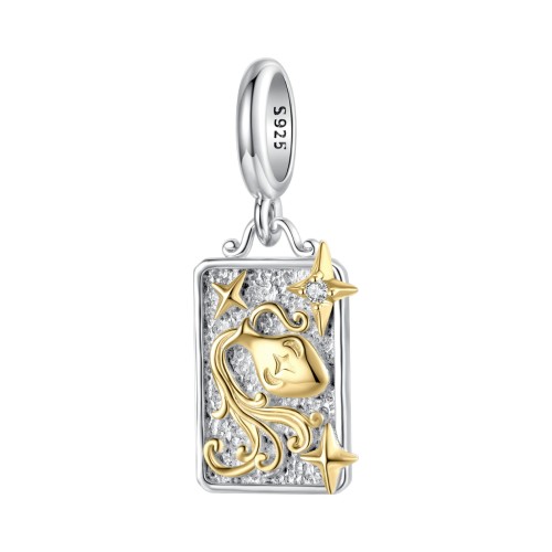 Przejdź do produktu Charms do Bransoletki Modułowej Znak Zodiaku - Wodnik